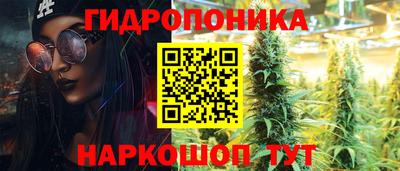 герыч Гатчина