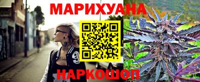 прущие крисы Гай