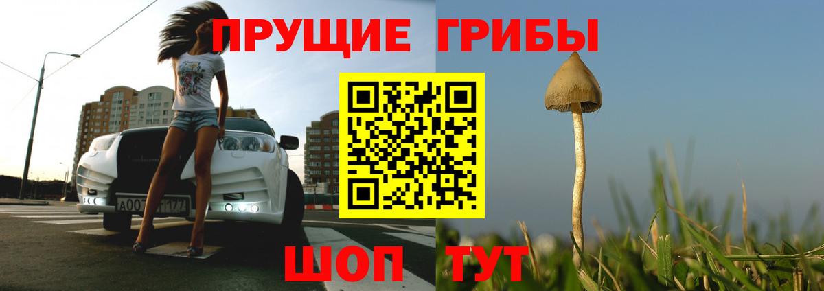 Псилоцибиновые грибы мухоморы Коряжма